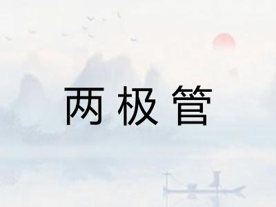 两极管 两极管
