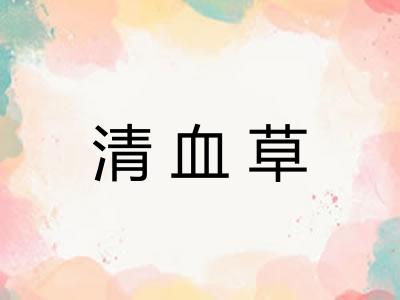 清血草