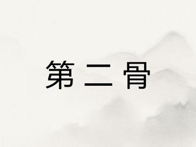第二骨