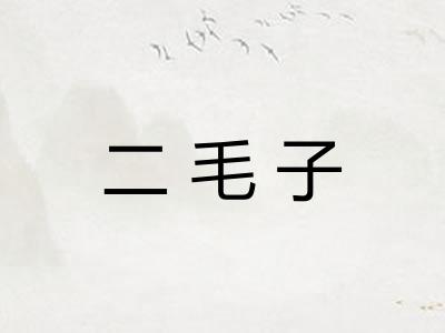 二毛子 二毛子