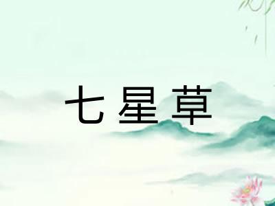 七星草 七星草