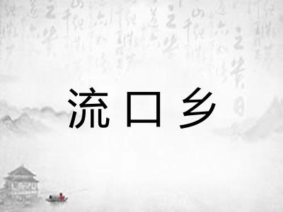 流口乡 流口乡