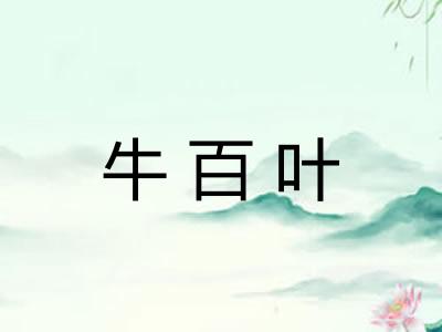 牛百叶 牛百叶