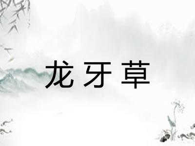 龙牙草