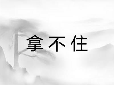拿不住 拿不住