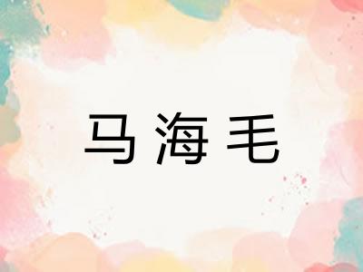 马海毛 马海毛