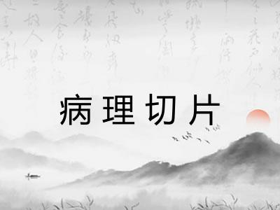 病理切片 病理切片