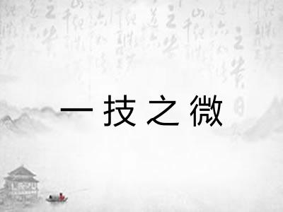 一技之微 一技之微