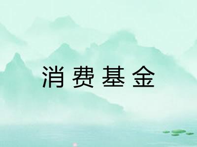 消费基金 消费基金
