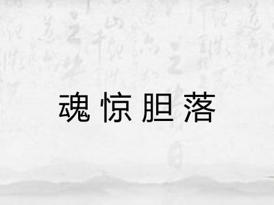 魂惊胆落 魂惊胆落