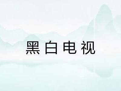 黑白电视 黑白电视