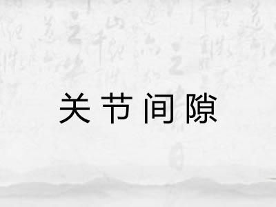 关节间隙 关节间隙