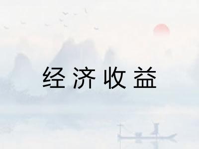 经济收益 经济收益
