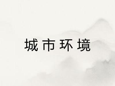 城市环境 城市环境