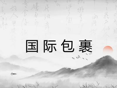 国际包裹 国际包裹