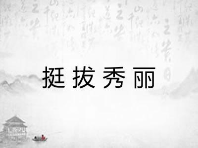 挺拔秀丽 挺拔秀丽