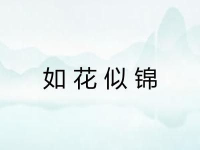 如花似锦 如花似锦