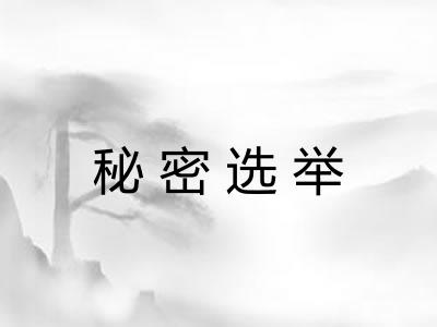 秘密选举 秘密选举