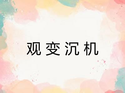 观变沉机 观变沉机