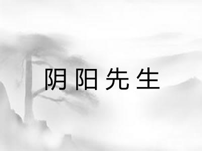 阴阳先生 阴阳先生