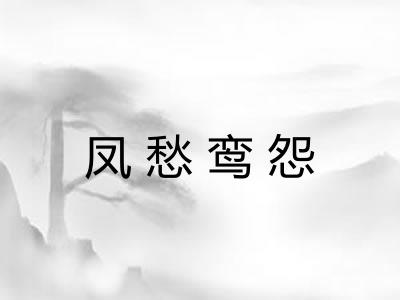 凤愁鸾怨 凤愁鸾怨