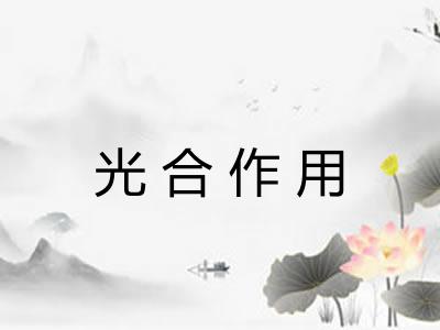 光合作用 光合作用