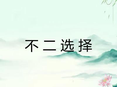 不二选择 不二选择