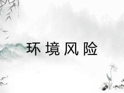 环境风险 环境风险