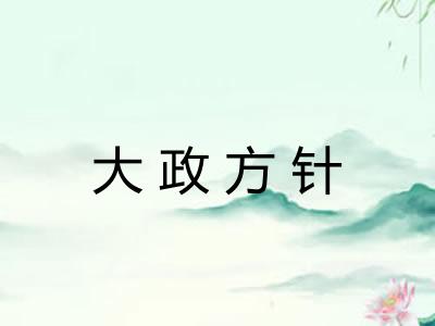 大政方针 大政方针