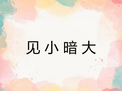 见小暗大 见小暗大