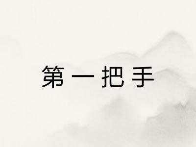 第一把手 第一把手