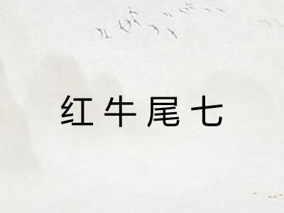 红牛尾七 红牛尾七