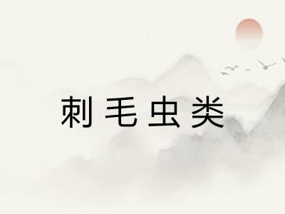 刺毛虫类 刺毛虫类