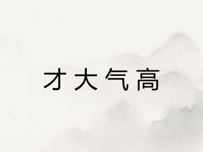 才大气高 才大气高