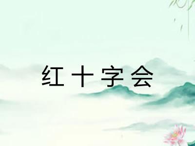 红十字会 红十字会