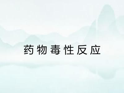 药物毒性反应 药物毒性反应
